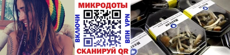 Псилоцибиновые грибы Cubensis  продажа наркотиков  Лахденпохья 